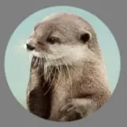 カワウソ☆プロフ必読