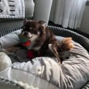 Lee:)の画像