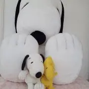 らいむの画像