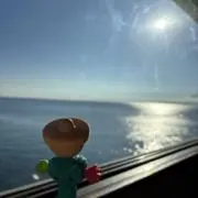 ぴよちゃんの画像