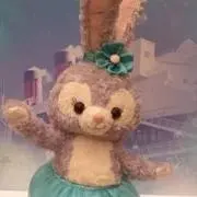 けこちゃん