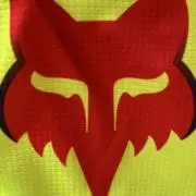 タカ
