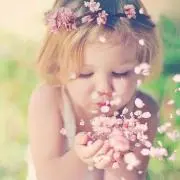 *Y*の画像