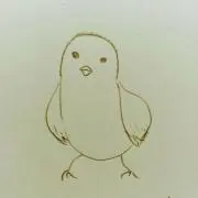 ピヨピヨの画像
