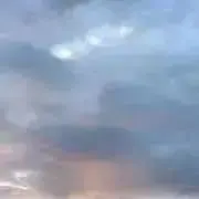 .の画像