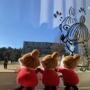 クボミキの画像