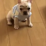 鈴木シャリン
