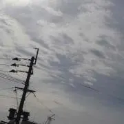 ゆー