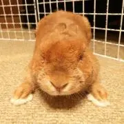 なおの画像