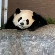 m.k