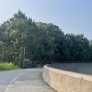 はなびの画像