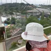 ぽんの画像