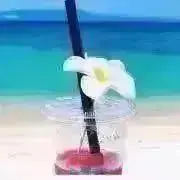 ♡coco♡の画像
