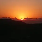 あの画像