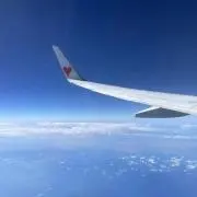 liapuciの画像