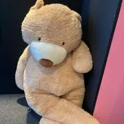 蓮華の画像