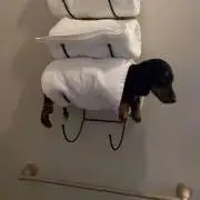 ゆい