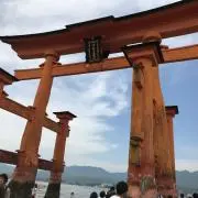 koo