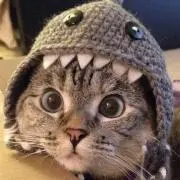 まさとの画像
