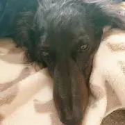 kuuの画像
