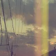 琥珀の画像