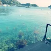 ecologeniusの画像