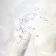ルの画像