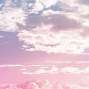 わたあめ。の画像