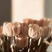 mの画像