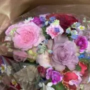 みんの画像