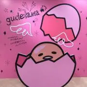 ののかの画像