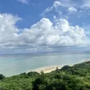 mstの画像