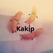 Kakipの画像