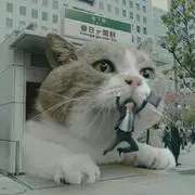 さんぼ