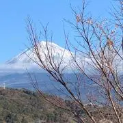 あやしいマダム