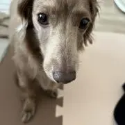 RINの画像