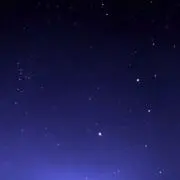WASPの画像
