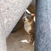 薫の画像