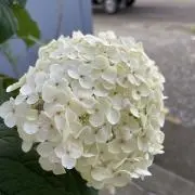 ♡姫♡ プロフィール確認してね。