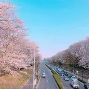 マリオ，チポッリーニの画像