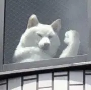 うごの画像