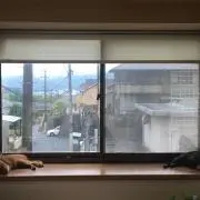 アベイニコフの画像