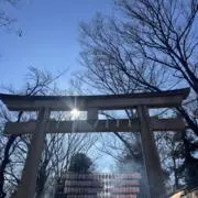 ナナの画像