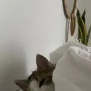me_.