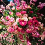 happy future