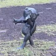 ソニーアルガンたら
