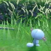 Kaiの画像