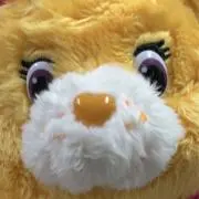 剣山ケアベア好きの画像