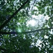 アイロン好きの画像