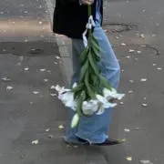 おはな